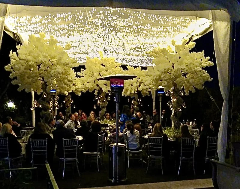 Carpa decorada con árboles blancos para fin de año